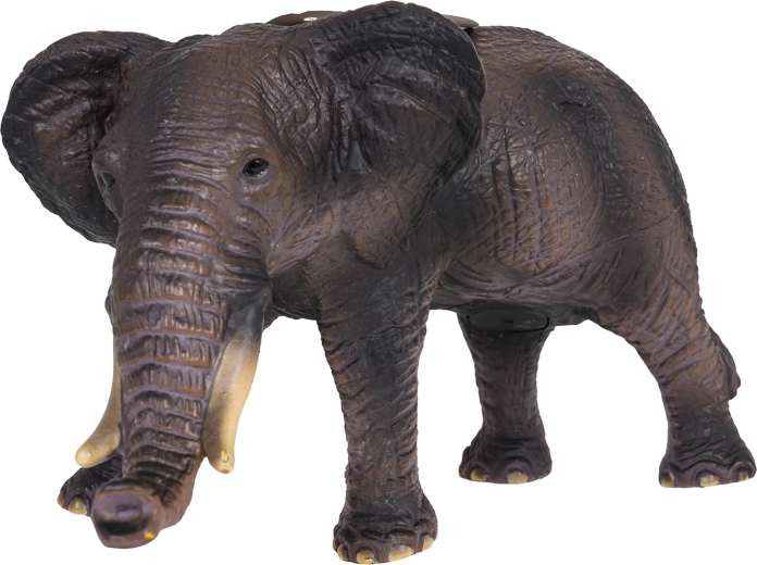 Realistische Details und robuste Ausführung