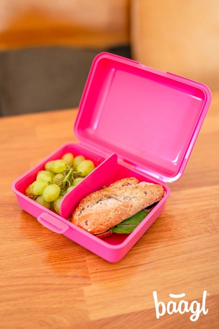 Baagl Lunchbox mit Flamingo-Motiv