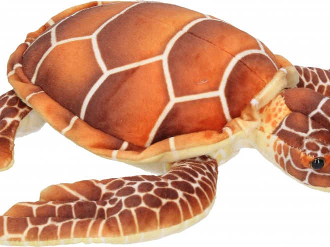 Spielzeug Schildkröte