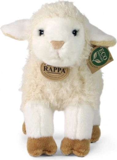 Exklusive RAPPA-Kollektion