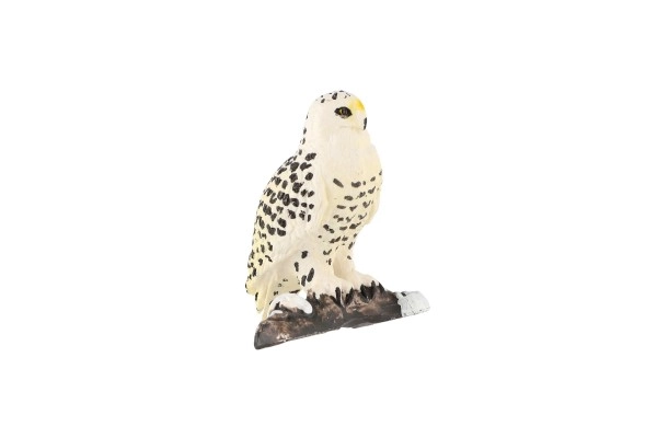 Authentische Details des arktischen Greifvogels