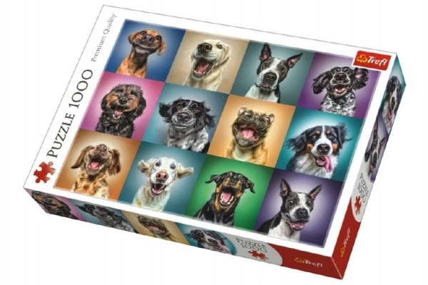 Lustige Hunde Porträts Puzzle