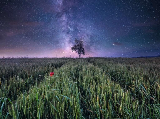 Die Kraft der Natur