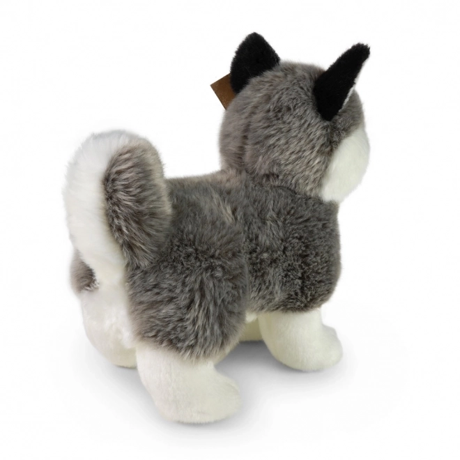 Plüsch Husky Hund eco-freundlich 23 cm