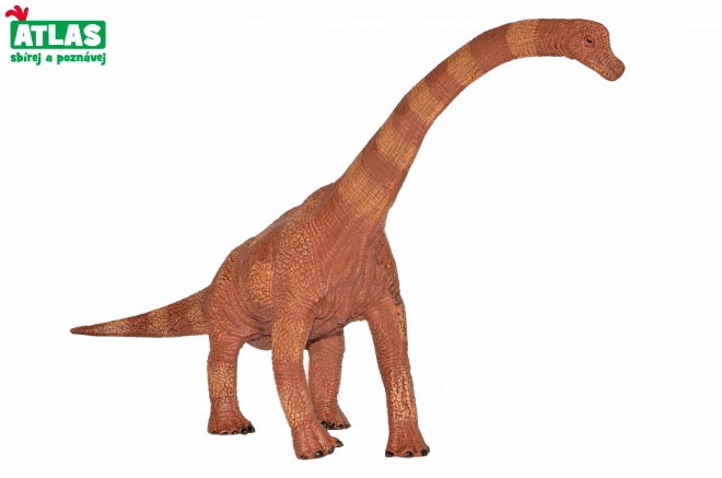 Brachiosaurus 30 cm Figur