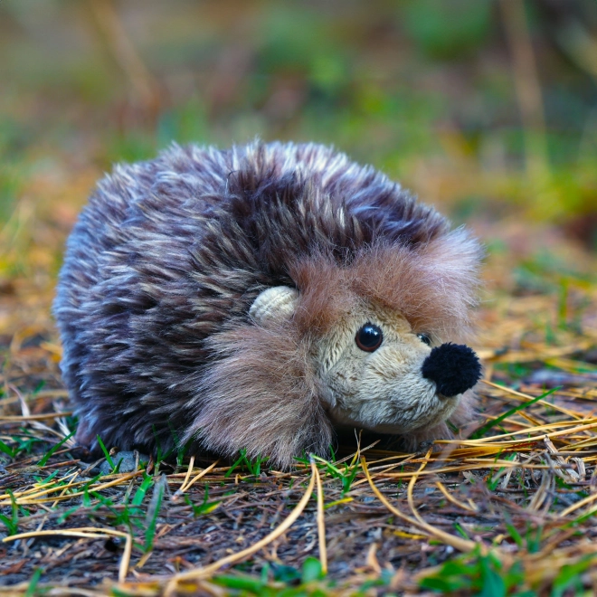 Weicher Igel 16 cm Umweltfreundlich