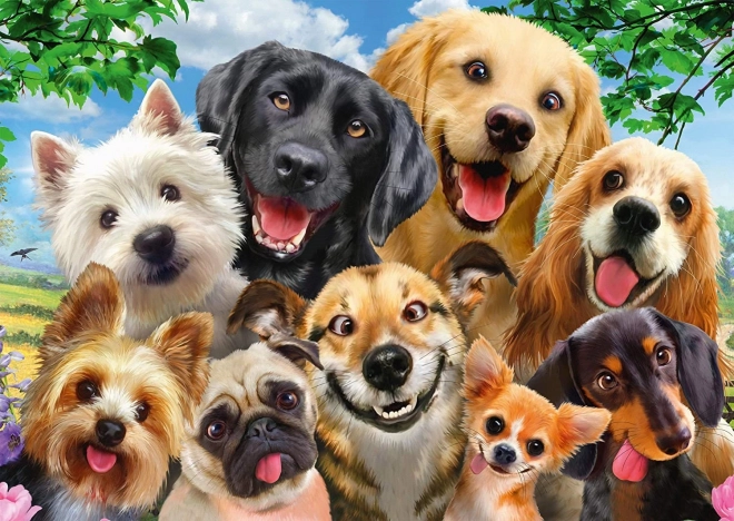 SCHMIDT Puzzle Hunde-Selfie, 500 Teile