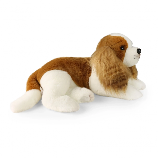 Plüschhund Cavalier King Charles Spaniel ECO-Friendly