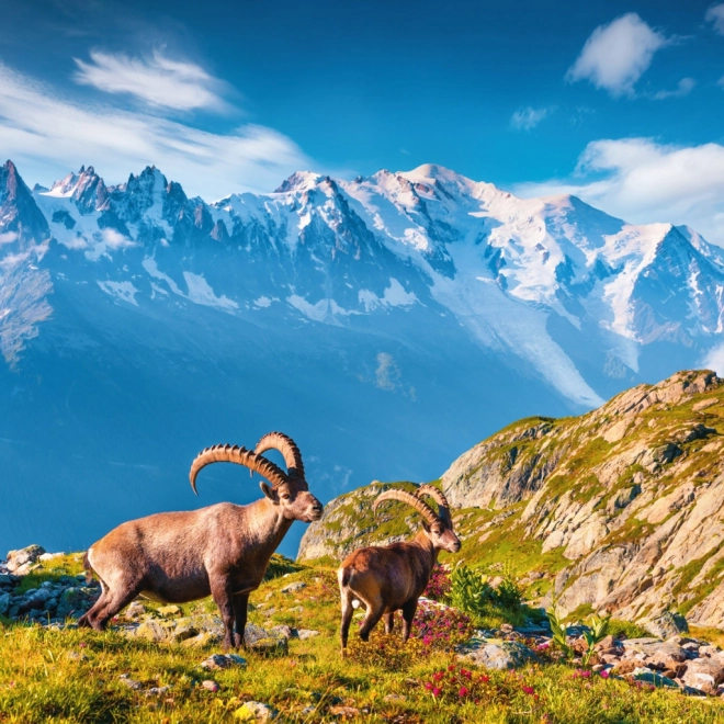 Notizkalender Alpen 2026