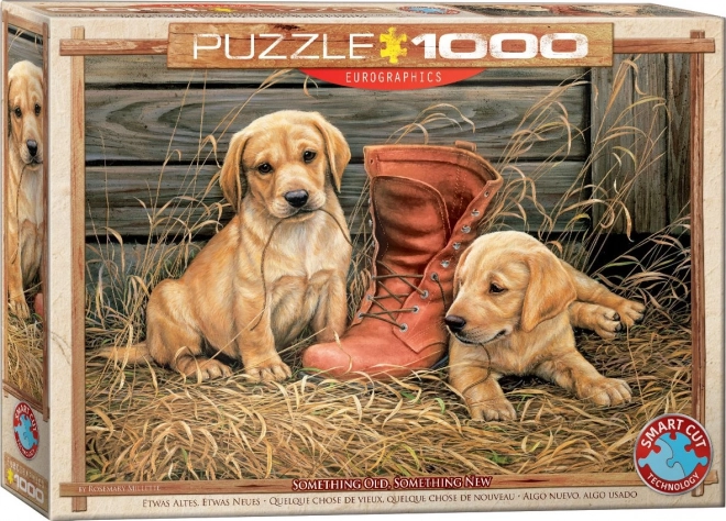 Eurographics Puzzle Welpen mit altem Schuh 1000 Teile