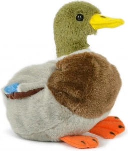 Plüsch-Wildenten-Erpel 18 cm