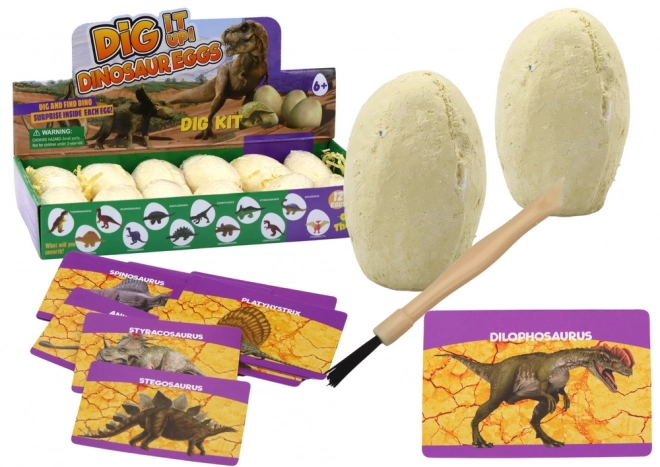 Archäologisches Dinosaurier-Eier-Set mit Karten - 12 Stück