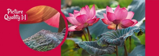 Puzzle Rosa Lotusblüten 500 Teile