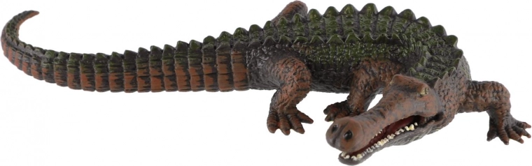 Realistische Details für ein echtes Erlebnis