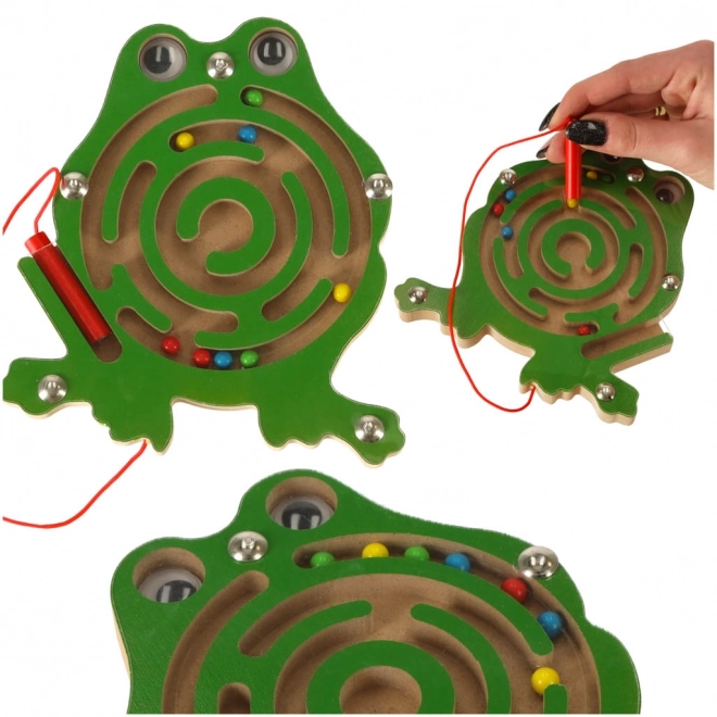 Magnetisches Labyrinth Marienkäfer – Frosch