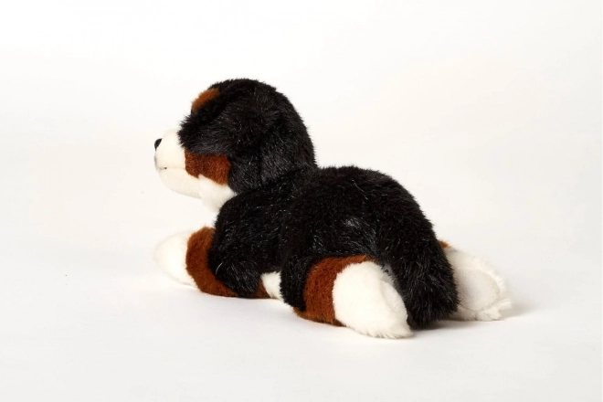 Plüsch Berner Sennenhund 25 cm