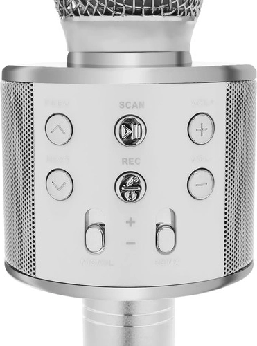 Stimm-Modulation und Echo-Effekt