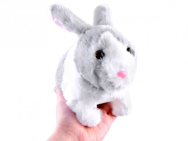 Interaktives Springender Hase mit Karotte – Grau