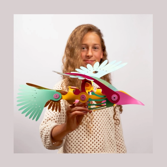 Magnetische Bausätze Clixo - Tropische Vögel - 22 Teile