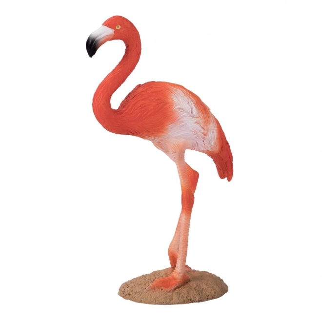 Mojo Karibischer Flamingo