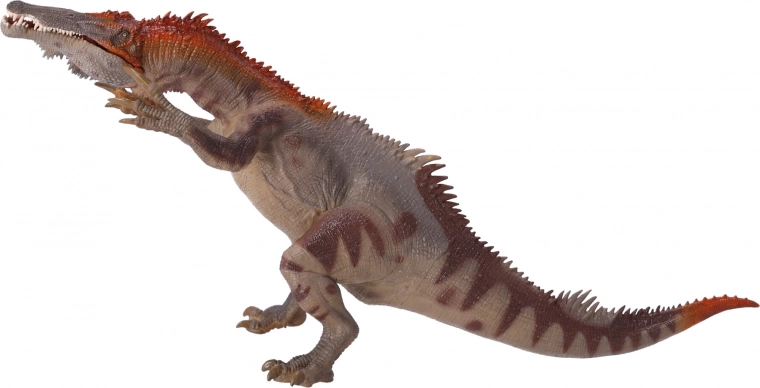 Geeignet für Sammler