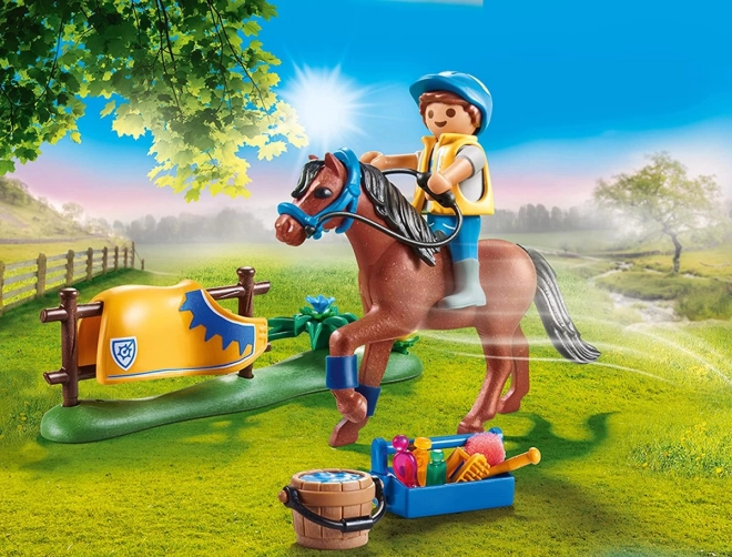 Spielerisches Reiten und Training