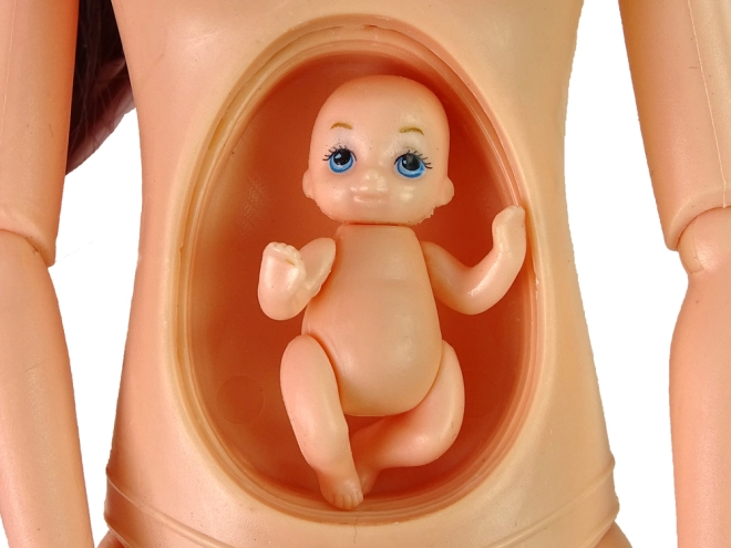 Abnehmbarer Bauch für Realismus