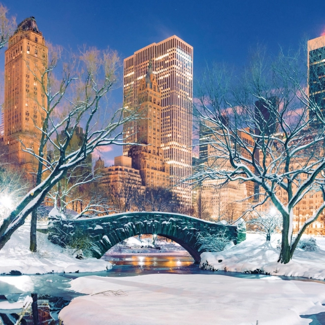 Notizkalender New York 2026