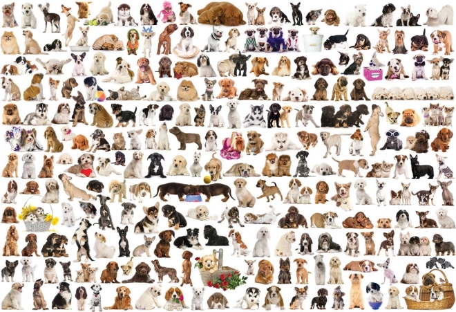 EUROGRAPHICS Puzzle Welt der Hunde 2000 Teile