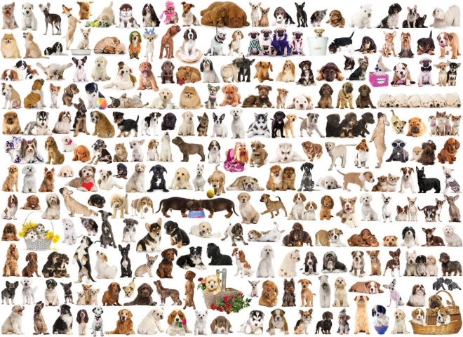 Eurographics Puzzle Hundewelten 1000 Teile