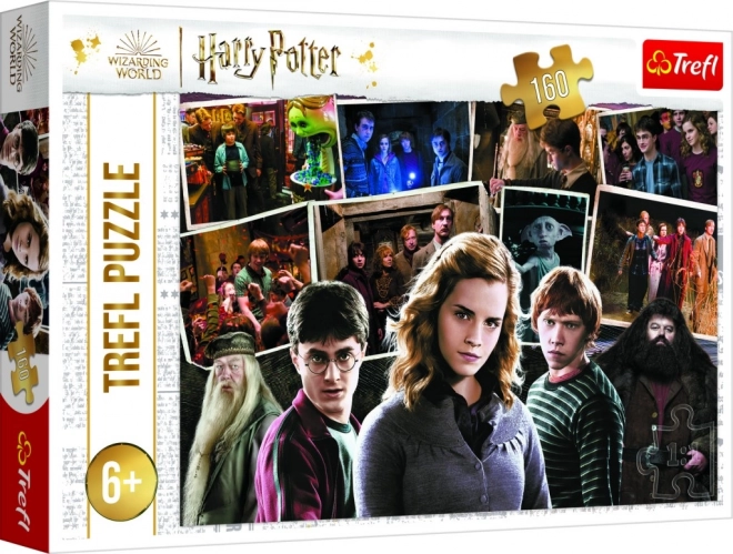 Harry Potter Puzzle mit Freunden 160 Teile