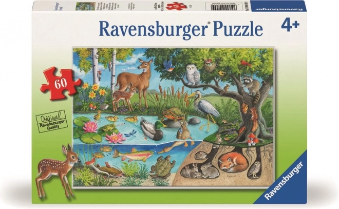 Ravensburger Puzzle Tiere Über und Unter der Erde – Geheimnisse der Natur 60 Teile