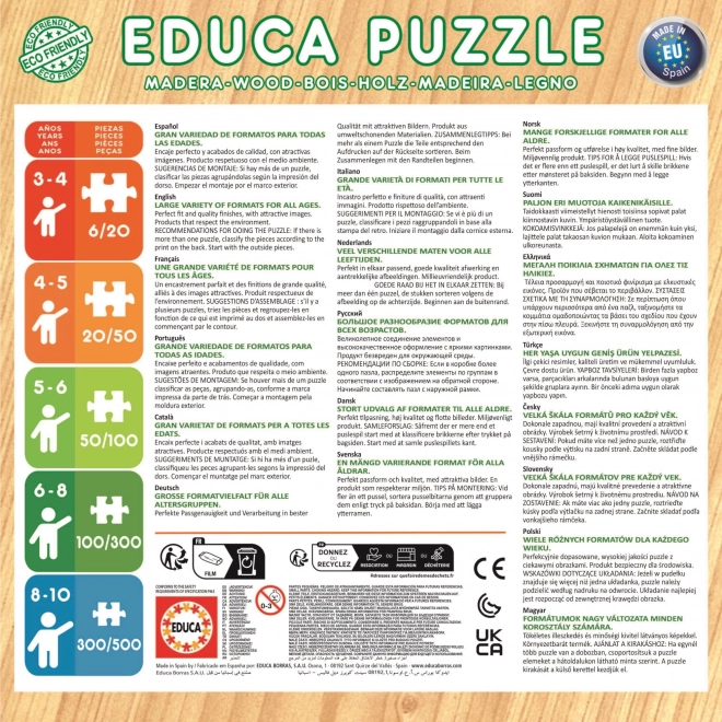 Holzpuzzle Die Eiskönigin von Educa