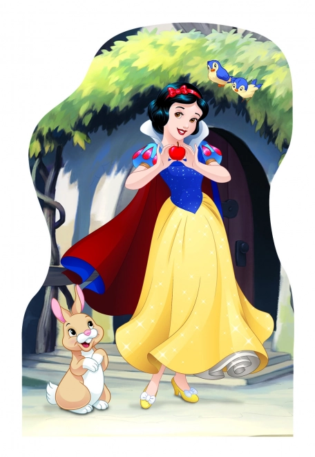 Konturpuzzle mit Disney Prinzessinnen 4x54 Teile