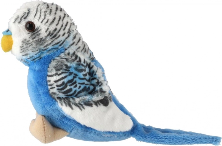 Realistische Feder- und Design-Details