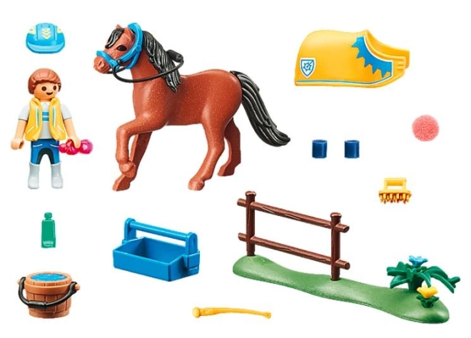 Alles für die Pflege des Ponys