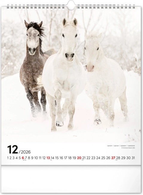Wandkalender Pferde 2026