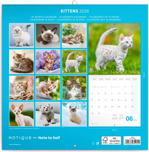 Notizkalender Kätzchen 2026