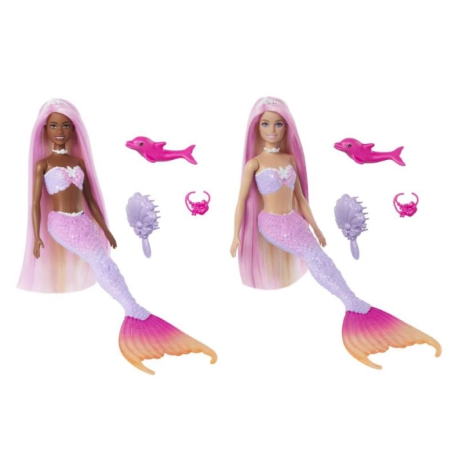 Unterwasser-Accessoires und niedlicher Delfin