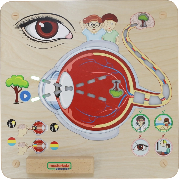 Masterkidz Edukative Seh-Tafel Montessori