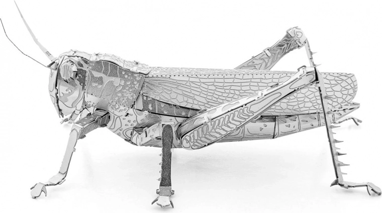 Cleveres Verriegelungssystem ohne Klebstoff