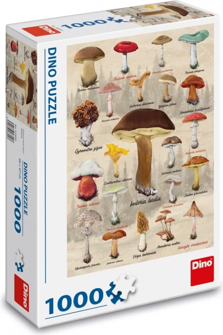 DINO Puzzle - Pilz-Collage 1000 Teile