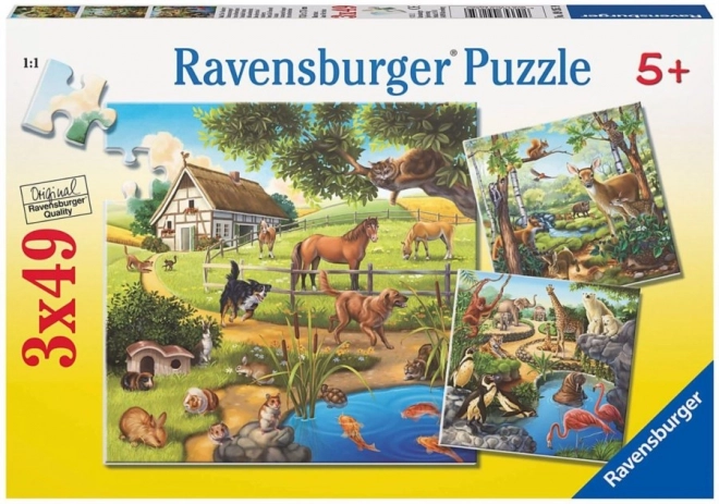 Heimtiere Puzzle Set