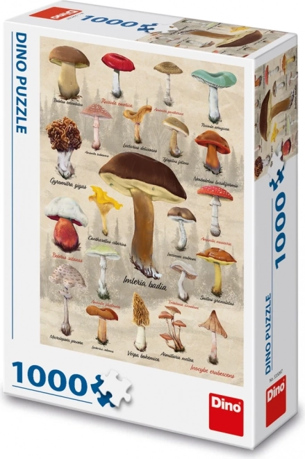 DINO Puzzle - Pilz-Collage 1000 Teile