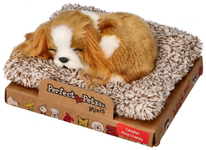 Schlafender Welpe Cavalier King Charles von Perfect Petzzz