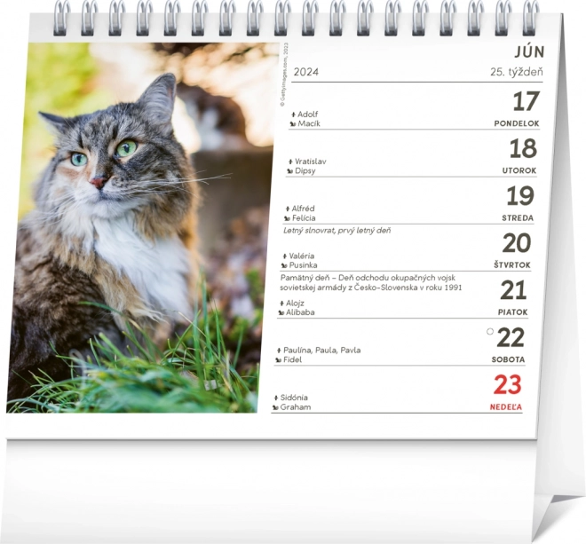 Kalender 2024 mit Katzenbildern und Katzen-Namen