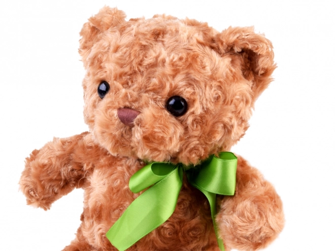 Kuscheliger brauner Teddybär