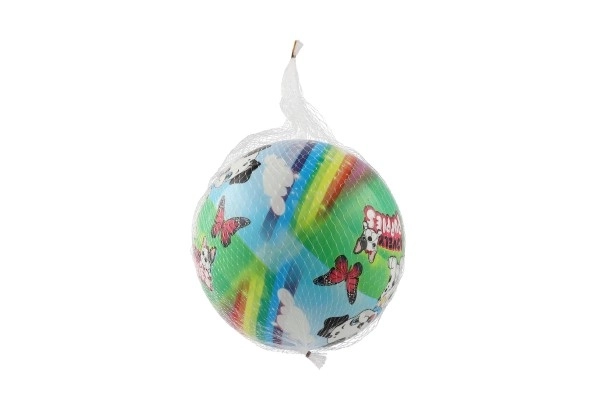 Aufblasbarer Ball für Kinder 23 cm in Netz