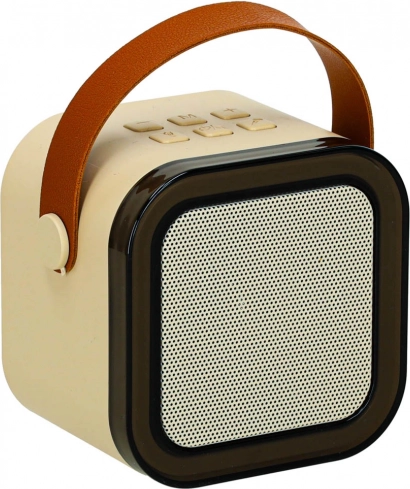 Kompakter 6-W-Lautsprecher mit Bluetooth