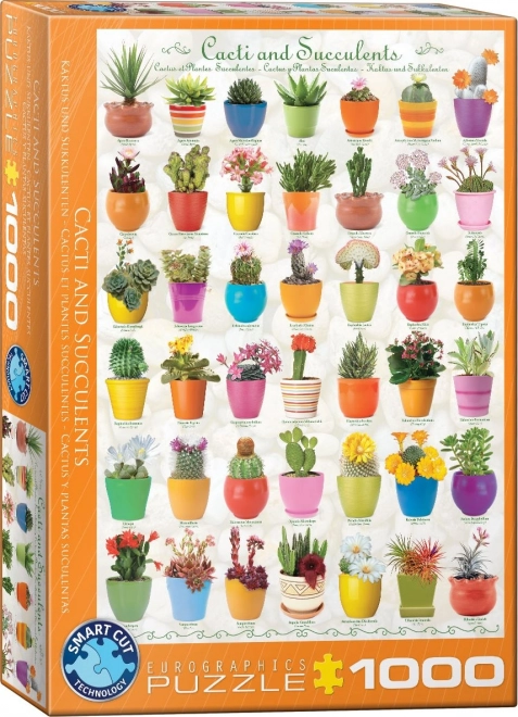 Puzzle Kaktusse und Sukkulenten 1000 Teile